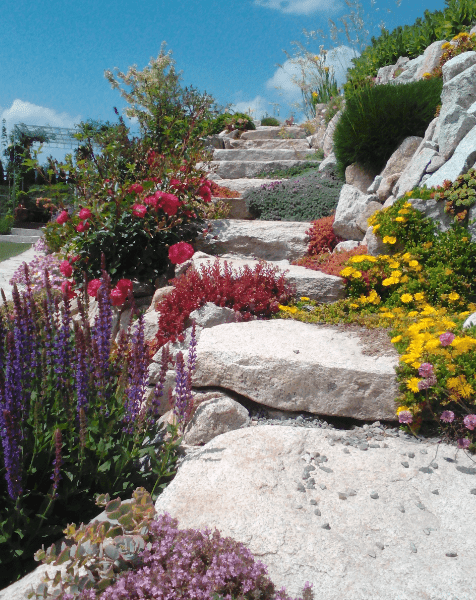 Obrázek - ZAHRADY IBERIS - zahradnictví, údržba zahrad, projekce zahrad Vodňany
